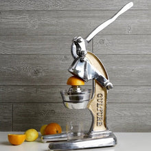 Load image into Gallery viewer, Large Recycled Aluminium Juicer - Copper