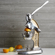 Load image into Gallery viewer, Large Recycled Aluminium Juicer - Gold